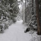 Зимний отпуск в Кутенае<br>Winter Holidays in Kootenay

